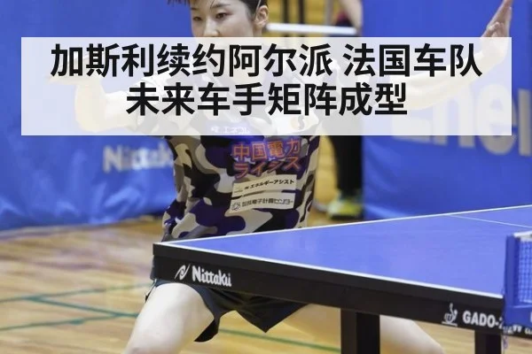 加斯利续约阿尔派 法国车队未来车手矩阵成型